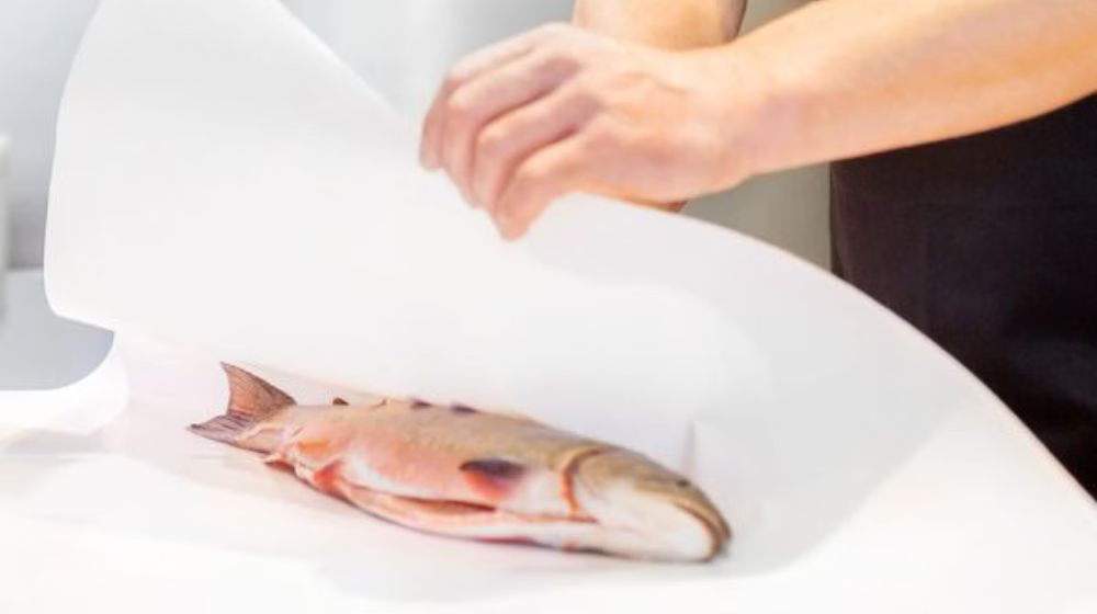 Curious y Curious BIO